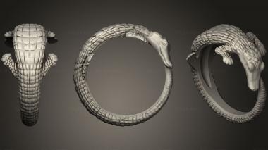 Jewelry rings Crocodile ring 3d model